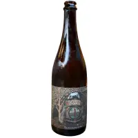 Lost Nation Brewing Yesterday's Tomorrow (Blood Orange)