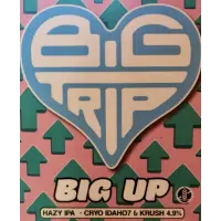 Big Trip Brewery Big Up