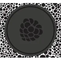 HOMES Brewery Coolship Framboise Noire