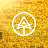 Autodidact Beer Garden Eyes