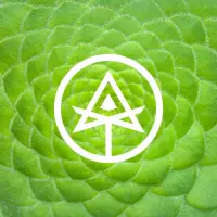 Autodidact Beer Inner Paths