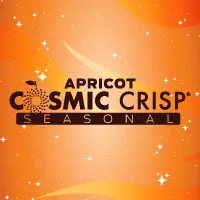2 Towns Ciderhouse Cosmic Crisp® - Apricot
