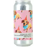 Bottle Logic Brewing Birthday Boi - Darwin