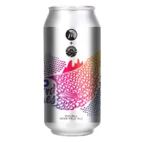 Proclamation Ale Company Weird Fishes