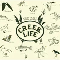 Whitstable Oyster Brewing Creek Life