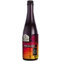 Bottle Logic Brewing Universe from Scratch