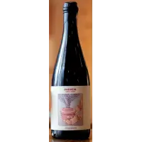 Cycad Brewing Andrew