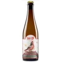 Block 15 Brewing Company Cardinal Coalescence