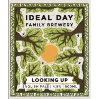Ideal Day Family Brewery Looking Up