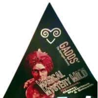 Gadds' The Ramsgate Brewery Magical Mystery Mild