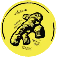 2 Towns Ciderhouse Ginja Ninja