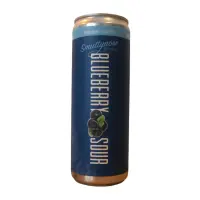 Smuttynose Brewing Company Blueberry Sour