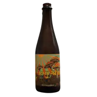 Fox Tale Fermentation Project Fung Shui