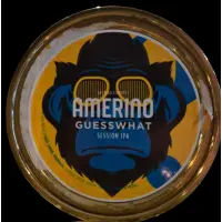 Birrificio Amerino Guess What