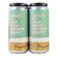 Fat Orange Cat Brew Company Living In Our Own Private Idaho