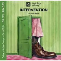 Big Village Brewery Intervention
