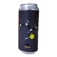 Fidens Brewing Company 3SMP4