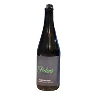 Fidens Brewing Company Architectural Scope