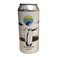 Fidens Brewing Company Surf Expressions