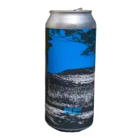 Fidens Brewing Company Blue Skies