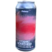 Fidens Brewing Company Cosmic Something
