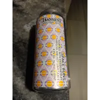 Transient Artisan Ales Space Buns