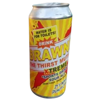 Hidden Springs Ale Works Brawndo X