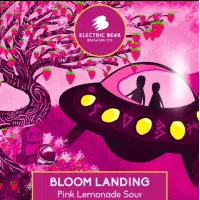 Electric Bear Brewing Co Boom Landing