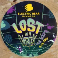 Electric Bear Brewing Co Lost in a Vortex