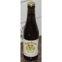 Egidius Bieren Tripel