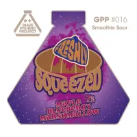 CoolHead Brew Glass Pyramid Project #016 Freshly Squeezed: Maple + Blueberry + Marshmallow