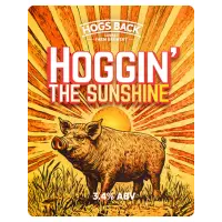 Hogs Back Brewery Hoggin' the Sunshine