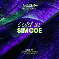 NOZIB Special Brews Cold As Simcoe