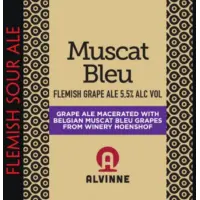 Brouwerij Alvinne Muscat Bleu