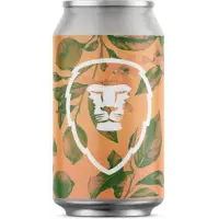 Aslan Brewing Company Ginger Rye
