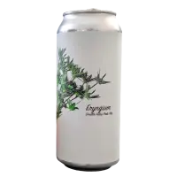 Fidens Brewing Company Eryngium