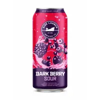 Side Launch Brewing Company Dark Berry Sour