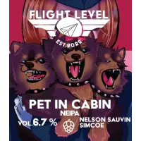 Flight Level Brewing Pet in Cabin