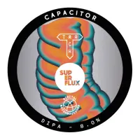 Track Brewing Co. Capacitor