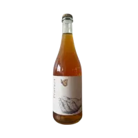 Welsh Mountain Cider Protect 2024