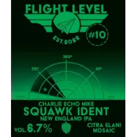 Flight Level Brewing Squawk Ident #10 Charlie Echo Mike