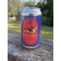 Snouts and Stouts Brewing Basset Hound Vienna Lager