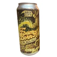 Brix City Brewing Foam Born: (A) The Back Track