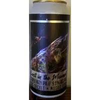 Social Project Brewing Co Lost in the Moment