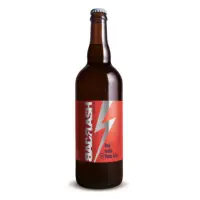 Bad Flash Craft Brewery Red Shorts