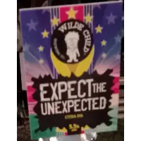 Wilde Child Brewing Co Expect the Unexpected