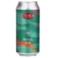 Ithaca Beer Co. Tropical Sour