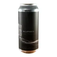 Narrow Gauge Brewing Company Galaphobia