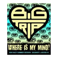 Big Trip Brewery Where Is My Mind?