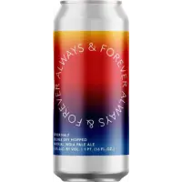 Other Half Brewing Always & Forever